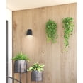 thumbnail image 6 of 20050leddmg-bl Access Lighting Edge-Outdoor Wall Sconce in Transitional Style-5.5 Inches Wide by 7.25 Inches Tall-Black Finish, 6 of 11