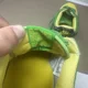 thumbnail image 5 of Ni&ke Air Force 1 Low Brazil Green Yellow Black 315122-331 Men’s Size 10, 5 of 6