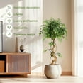 thumbnail image 5 of Yeshouse Indoor Outdoor Faux Ficus Tree, Natural Wood Trunk, Decorative Coil-Shaped Artificial Plant Decor, 5 of 8