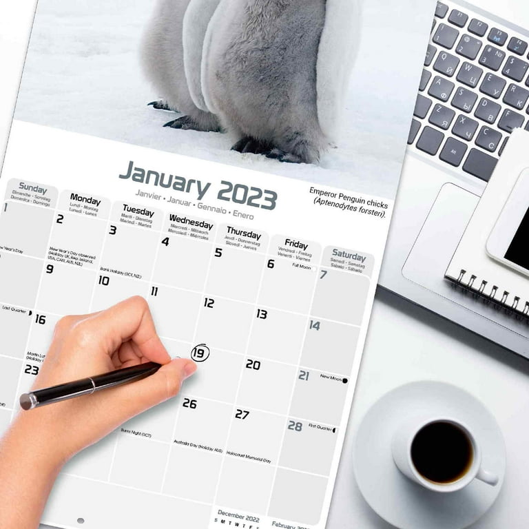 2023 2024 Penguins Calendar - Cute Animal Bird Monthly Wall Calendar - 12 x  24 Open - Thick No-Bleed Paper - Giftable - Academic Teacher's Planner  Calendar Organizing & Planning - Made in USA - Walmart.com