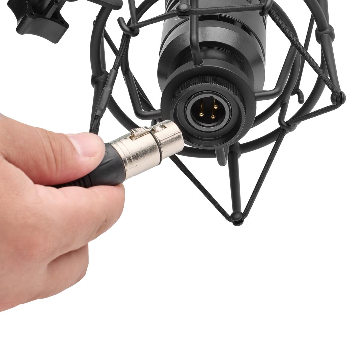 Turnstile Audio Platform Series TAP300 Cardioid Dynamic Broadcast Microphone