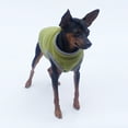 thumbnail image 5 of Dog winter warm clothing pet clothing dog clothing light fleece sleeveless pet bipod, 5 of 6