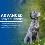 VPS SynovialMax Hip & Joint Soft Chews for Dogs, 120 count