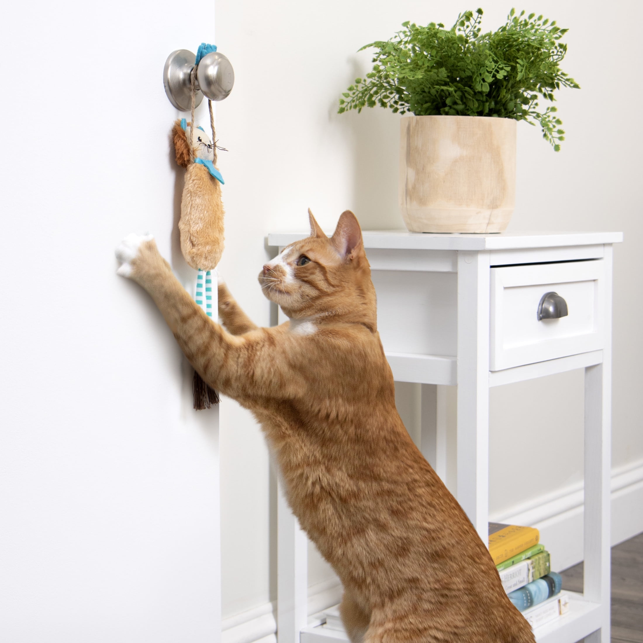 SmartyKat Loopy Lion Door Hanging Breakaway Kicker Catnip Cat Toy