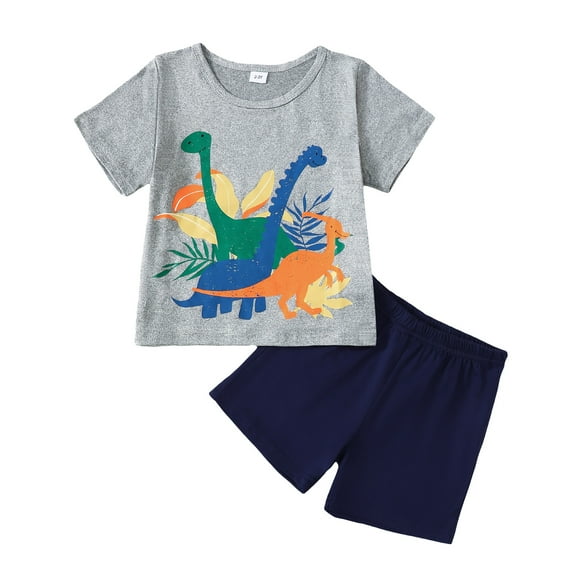 2T Baby Boys Clothes Baby Boys Outfits 2-3T Boys Short Sleeve Dinosaur Print Top Shorts 2PCS Boys Summer Clothing Set Gray