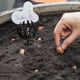 thumbnail image 4 of 20 cestas de plástico para fertilización de bonsáis, contenedor grande para jardín., 4 of 6