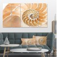 thumbnail image 1 of Brown Nautilus Shell Pattern - Abstract Canvas Art Print, 1 of 3