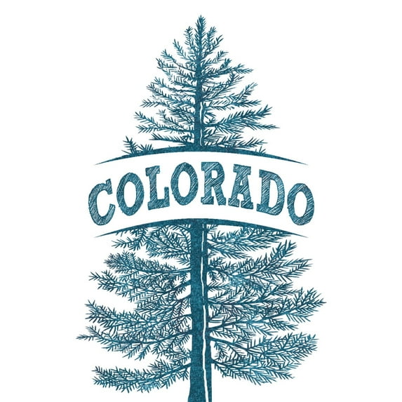 Colorado, Blue Spruce, Tree Illustration (36x54 Giclee Gallery Art Print, Vivid Textured Wall Decor)