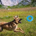 thumbnail image 5 of Puppy Chew Toy for Medium and Large Breed, 5 of 5
