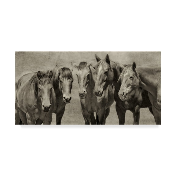 Trademark Fine Art 'Meeting of the Minds Horse' Canvas Art by PHBurchett