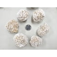thumbnail image 2 of Large Desert Rose Crystal Specimens Raw Selenite Gypsum Sand Rose Cluster, 2 of 6