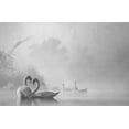 thumbnail image 2 of Liu, Dawei 32x22 White Modern Wood Framed Museum Art Print Titled - morning fog on swan lake, 2 of 4