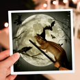 thumbnail image 7 of 3dRose, Cute vintage squirrel on a broom with a harvest moon and witchs hat, she is ready for Halloween., 6 Greeting Cards with envelopes, 7 of 7