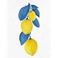 thumbnail image 2 of Allen, Kimberly 15x18 White Modern Wood Framed Museum Art Print Titled - Lemon Vine 1, 2 of 4