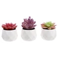 thumbnail image 1 of 3 Pcs Mini Simulation Succulent Potted Plant Ornament Potted Bonsai Decoration, 1 of 7
