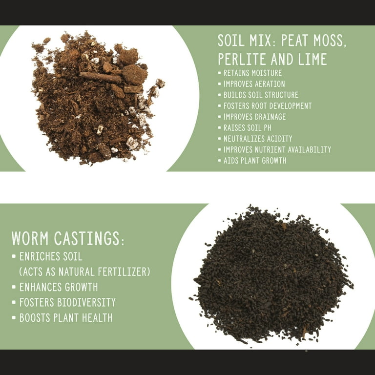 Soil Sunrise All-Purpose Bonsai Potting Mix, Organic Nutrient-Rich Soil for  Garden (1 Quart) - Walmart.com