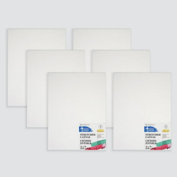 Northshore 6 pack 12"x16" stretched canvas