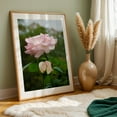 thumbnail image 5 of Wall Art Prints Flowers: Admiration Pink Rose - Mixed Media Floral Flowers Nature Garden Botanical Pastel Scenic Oak Framed Wall Art Print 5 x 7 inches, 5 of 59