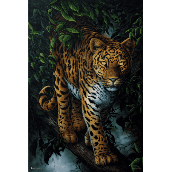Watchful Eyes by Jenny Newland Poster - 24.5" x 36.5" Laminated