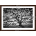 thumbnail image 5 of Art.com Majestic Old Oak, Black and White, Petaluma Northern California Photographic Print by Vincent James, Brown Frame Wall Art, 44" x 32", 5 of 5
