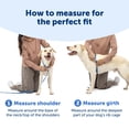 thumbnail image 6 of PetSafe Easy Walk Comfort No-Pull Dog Harness, 5 Adjustement points, S/M, Green, 6 of 9