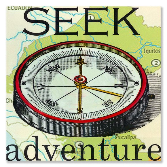Arte mural en lienzo Oopsy Daisy Seek Adventure 36 x 36 cm