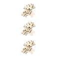 thumbnail image 2 of ZLight DIY Wood Slices Handicraft Make Accessory Home Pendant Prop Craft Chips Type 2 3Set, 2 of 6