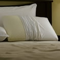 Pacific Coast Feather Restful Nights Even Form Latex Foam Pillow