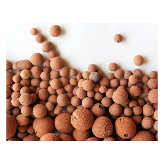 Hydro Clay Pebbles (Leca) Orchid/Hydroponic Grow Media - 10 lbs. (More Than 10 Liters) by