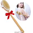 thumbnail image 1 of Shower Brush for Bathing and Exfoliating with Soft Bristles for Skin Care, 1 of 5
