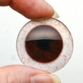 thumbnail image 6 of Dark Brown Human Inspired Glass Eyes with Whites, 6 of 9