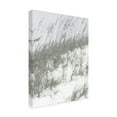 thumbnail image 2 of Sharon Chandler 'Lush Dunes IV' Canvas Art, 2 of 3
