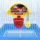 thumbnail image 3 of Billuyoard Campana interna que estimula el interés en el juego, juguete de baloncesto para loros, juguete de tiro para loros, juguete de Juguetes para pájaros, 3 of 6