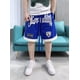thumbnail image 1 of Pantalones cortos de baloncesto americanos, pantalones deportivos de entrenamiento finos de verano para hombre, pantalones holgados bordados de hip-hop callejero, 1 of 5