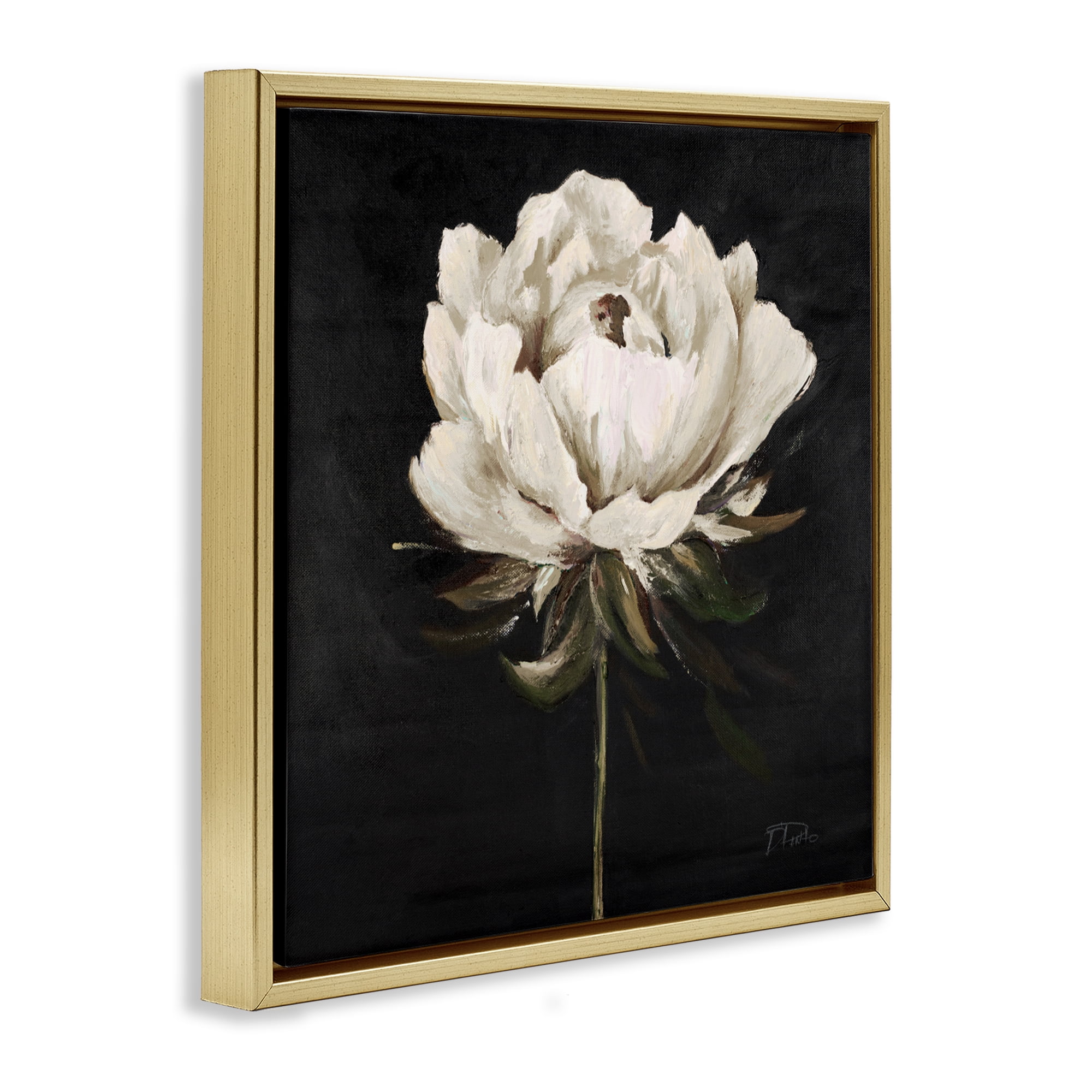 Stupell Industries Pretty Delicate Bloom on Black Gold Framed Floater Canvas Wall Art, design by Patricia Pinto