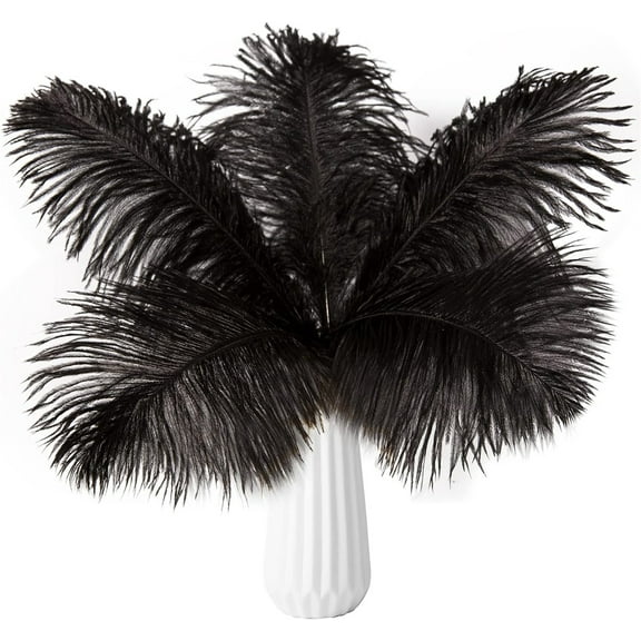 GIXUSIL Black Large Ostrich Feathers, 20 Pcs 8-10inch Craft Feathers for Wedding Party Centerpieces, Flower Arrangement and Home Decoration, Black