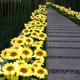 thumbnail image 4 of Bearachild Luz de girasoles solares para exteriores, IP65, resistente al agua, para jardín, camino, parque, Patio, porche, decoración de pasarela, Iluminación y accesorios cabeza única Bearachild HA073198-01, 4 of 6