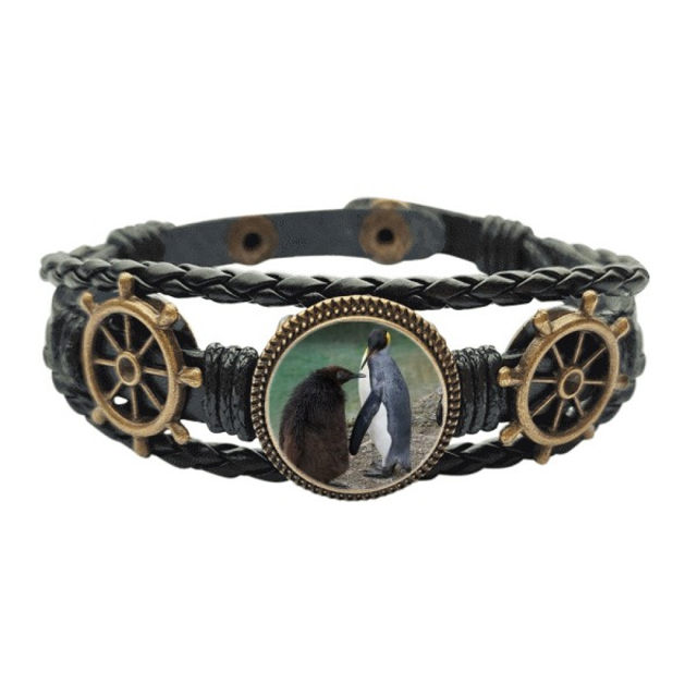El mar frío Antártico pingüino ciencia naturaleza foto Pulsera marina tejida en cuero