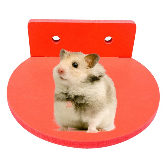 Petit Animal Perche Amovible Interactif Oiseau Stand Plate-Forme Hamster Cage Perche