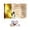 #1B - Gold-Stamped + Magnifying Glass, variant on Clearance! Adams Time Chart, Gold-Stamped World & Biblical History Timeline