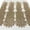 Bronze, variant on Liatris Bridal Lace Sequins Beaded Scallop Fabric for Dresses 52’’ BTY (White)