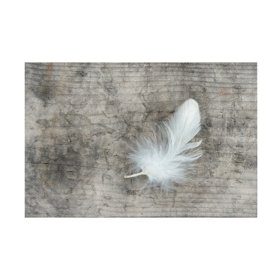 Cora Niele 'White Feather' Canvas Art