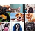 thumbnail image 3 of Buffalo Games - Dog Days - Pet's Virtual Hangout - 750 Piece Jigsaw Puzzle, 3 of 5