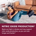 thumbnail image 4 of Havasu Nutrition Beet Root Gummies with COQ10, Pomegranate & Grape Seed, Energy & Stamina Support, Mixed Berry, 60 Count, 4 of 10