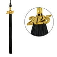 thumbnail image 3 of Toptie Shiny Kindergarten Child Size Graduation Cap Hat with 2024 Tassel-Black, 3 of 4