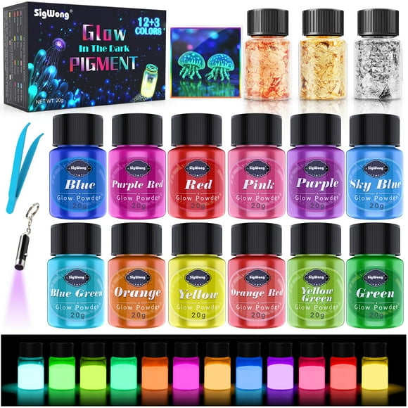 Set de pigmentos en polvo SigWong que brillan en la oscuridad, 12 colores, 20 g