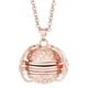 thumbnail image 1 of Collar con medallón de foto expandible de moda, amuletos de regalo, decoración, regalos conmemorativos oro rosa, 1 of 7