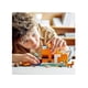thumbnail image 4 of LEGO Minecraft Overworld Adventures 3 in 1 Building Set Pack 66779, 4 of 5