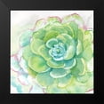 thumbnail image 2 of Coulter, Cynthia 20x20 Black Modern Framed Museum Art Print Titled - Sweet Succulents IV, 2 of 5