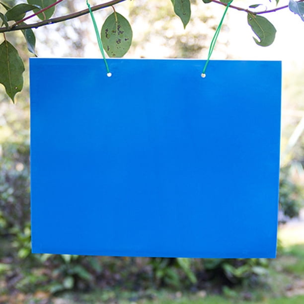 Fiudx Decoración del hogar -Trampas Amarillas Laterales 20 Hojas para Capturar Mosquitos Como